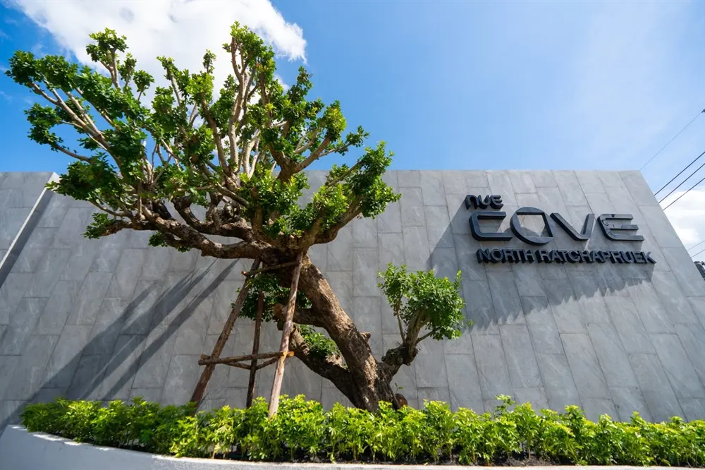 นิว โคฟ นอร์ธ ราชพฤกษ์