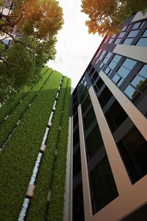 ดิ เออเบิ้ล แอตติจูด