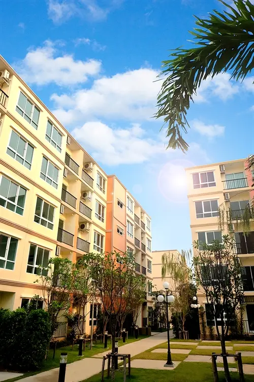 เดอะ แฮปปี้เนส