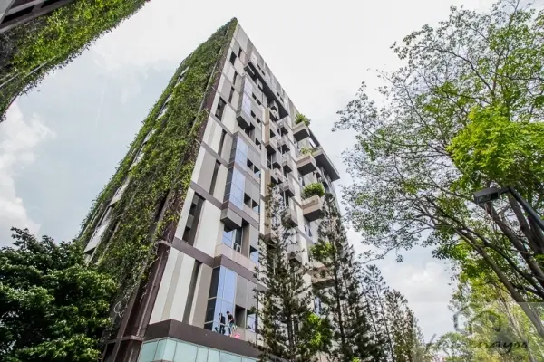 แอชตัน มอร์ฟ 38