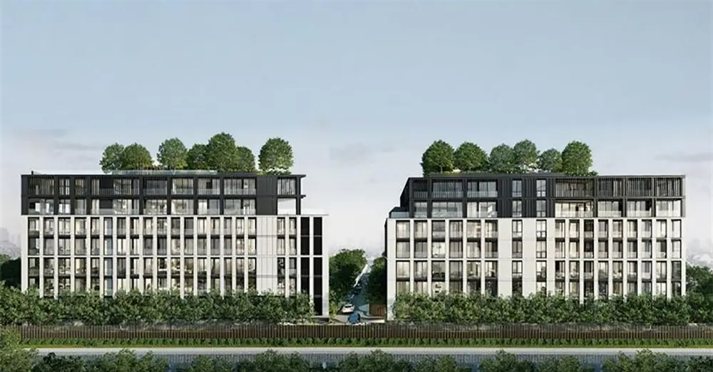 ลาซิต้า เดล