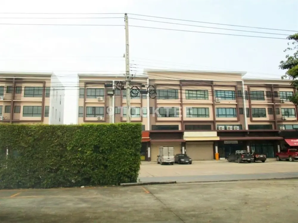 ซื่อตรง โคซี่